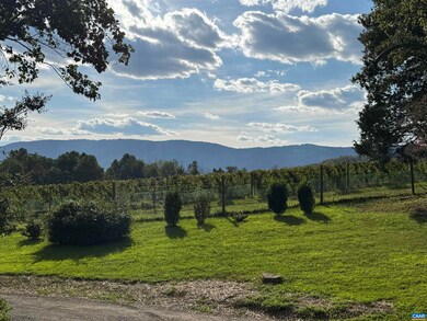 8508 Dick Woods Rd, Afton, VA 22920 - photo 6