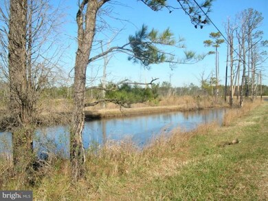 3041 Golden Hill Rd, Church Creek, MD 21622 - photo 2