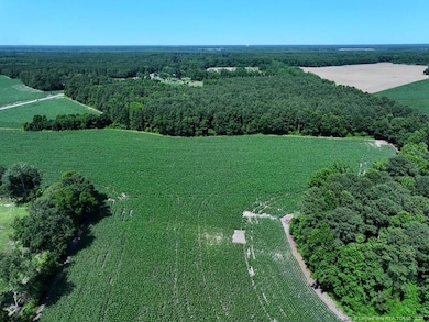 TBD Nc Hwy 71 Hwy, Red Springs, NC 28377 - photo 3