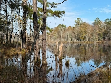 Youngblood Rd, Sparta, GA 31087 - photo 4