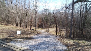 207 Windsor Ridge, Oxford, MS 38655 - photo 3