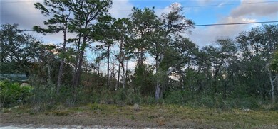 6673 W Merrivale Ln, Homosassa Springs, FL 34446 - photo 3