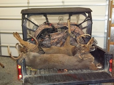 3590 Tuller Rd, Stonefort, IL 62987 - photo 7