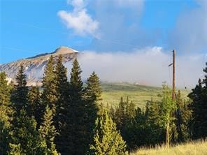 22 Rons Rd, Alma, CO 80420 - photo 3