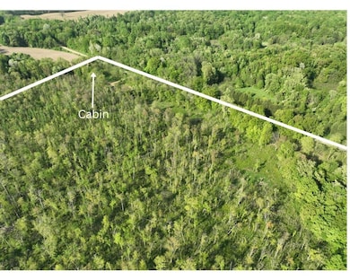 59064 Savage Rd, Vandalia, MI 49095 - photo 6