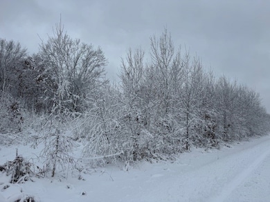 0000 Barrett Rd, Trego, WI 54888 - photo 5