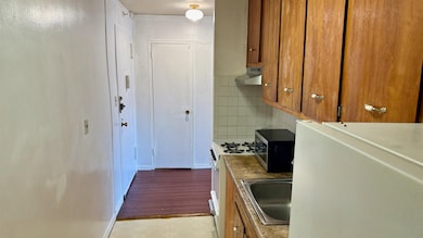 225 St Pauls Ave unit 2S, Jersey City, NJ 07306 - photo 5