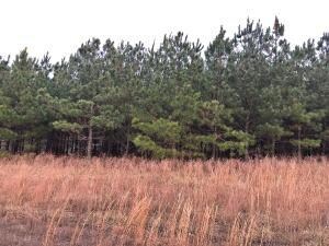 0 Lot 11 Nc 1502 unit H141177, Compton, AR 72624 - photo 3
