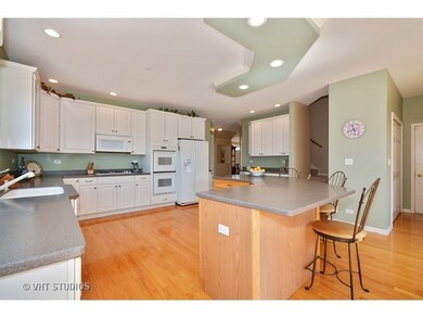 1041 Hodge Ln, Batavia, IL 60510 - photo 6