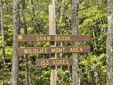 unlisted-address, Cummington, MA 01026 - photo 7