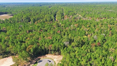 25219 Chisos Bend, Montgomery, TX 77316 - photo 5