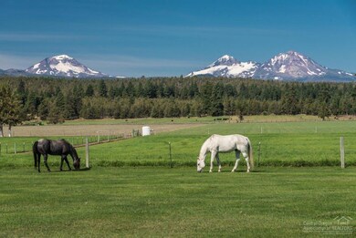 18565 Collins Rd, Bend, OR 97703 - photo 6