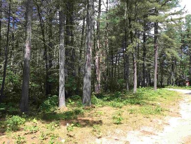 8 Navajo Trail, West Ossipee, NH 03890 - photo 6