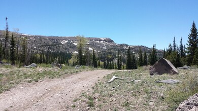 20140604_134158