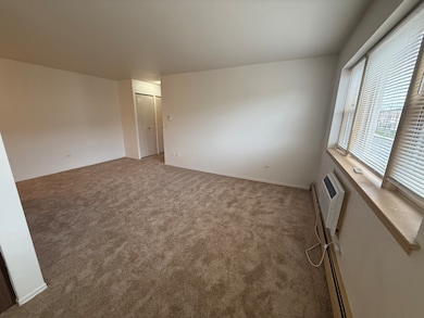 3001 N Thatcher Ave unit 2D, River Grove, IL 60171 - photo 5