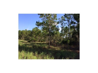 435 Browstone St, Lehigh Acres, FL 33974 - photo 2