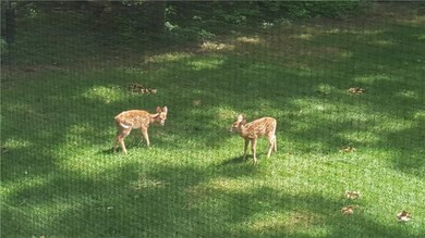 5431 N Lindsay, La Porte, IN 46350 - photo 3