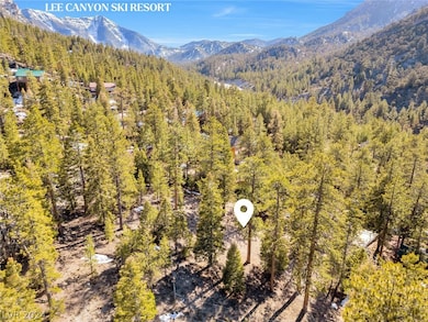 5215 Whispering Deer Dr, Mount Charleston, NV 89124 - photo 3