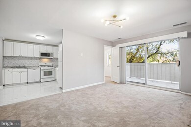 19423 Brassie Place unit 201, Montgomery Village, MD 20886 - photo 6