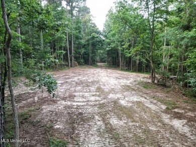 4 Old Hamburg Rd, Roxie, MS 39661 - photo 6