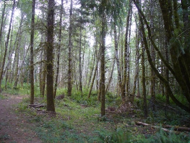 0 Old Rainier Rd unit 778029075, Rainier, OR 97048 - photo 4