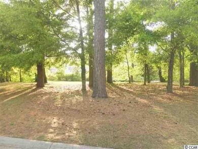 7 Gasparilla Dr unit LOT 7 BELLE VUE, Murrells Inlet, SC 29576 - photo 5