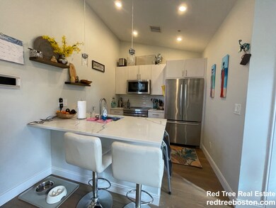 9 Mansfield St unit 4, Allston, MA 02134 - photo 3