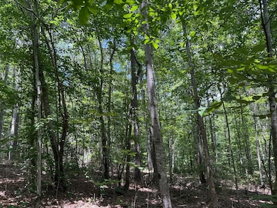 0 County Road 51, Greensboro, AL 36744 - photo 6