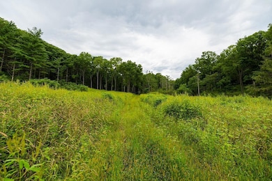 0 Leykom Rd, Waumandee, WI 54622 - photo 2