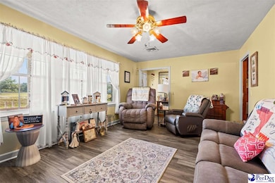 7187 U S 501, Latta, SC 29565 - photo 2