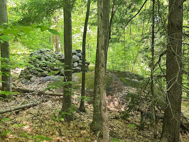 Lot 023-A Oak Hill Rd, Temple, ME 04984 - photo 4