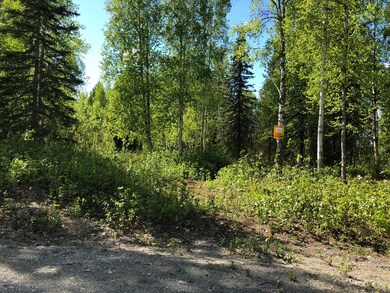 Lot 6 From Road