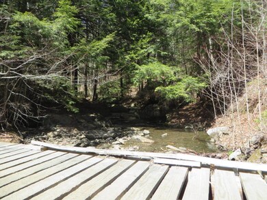 0 New Mirror Lake Village unit 4796590, Wilmington, VT 05363 - photo 6