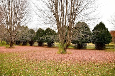 Plenty of perfectly places mature trees