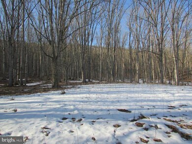 66 Trough Rd, Moorefield, WV 26836 - photo 7