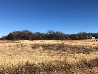 1034 Hope Ct, Boyd, TX 76023 - photo 6