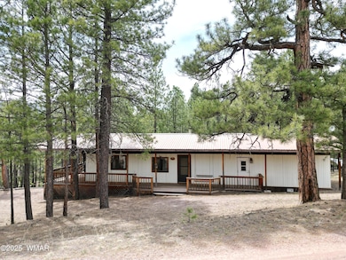 29 & 27 N 2058, Alpine, AZ 85920 - photo 3