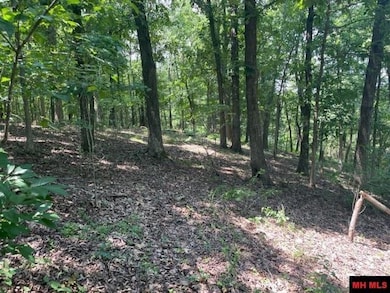 3721 Thousand Oaks Dr, Yellville, AR 72687 - photo 3