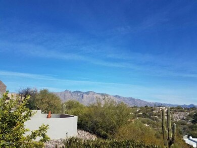Back patio view of Catalinas