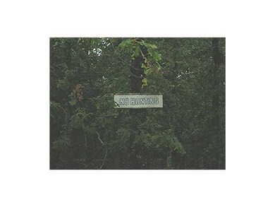 unlisted-address, Greenland, AR 72774 - photo 5