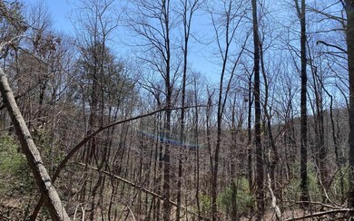 000 Flagpole Rd, Ellijay, GA 30540 - photo 6