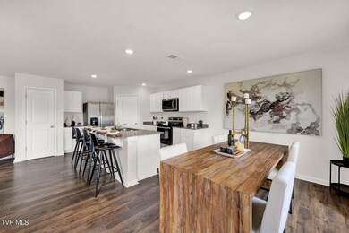 342 Alta Tree Blvd, Johnson City, TN 37604 - photo 7