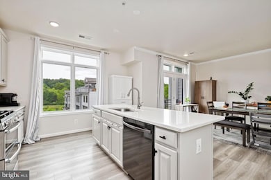 1010 Ribbon Limestone Terrace SE, Leesburg, VA 20175 - photo 3