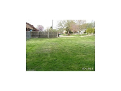 nice back yard