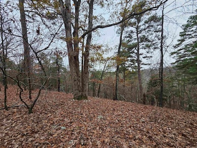 00 Colonel Glenn Rd, Little Rock, AR 72210 - photo 5