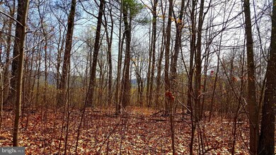 0 Stonewall Jackson Hwy unit 1001864226, Front Royal, VA 22630 - photo 4