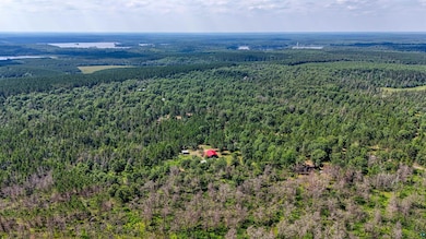 Aerial view of a heavily wooded area