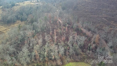 0 Linneys Mill Rd, Union Grove, NC 28689 - photo 5