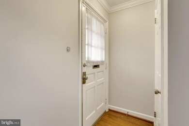 2941 S Dinwiddie St, Arlington, VA 22206 - photo 2