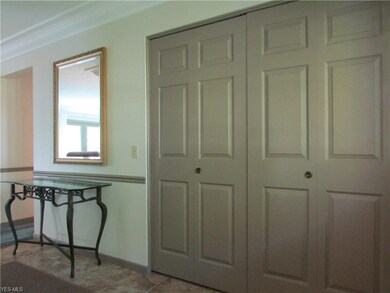 Huge Closet in Entry